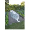 Nature Film de forçage-LDPE transparent-50µ-2x10m