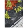 Nature Bâche de sol de contrôle des mauvaises herbes 3,3x5 m Noir TU