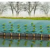 Nature Bâche de sol de contrôle des mauvaises herbes 1x10 m Vert TU