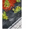 Nature Bâche de sol de contrôle des mauvaises herbes 2x5 m Noir TU