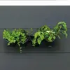 Nature Kit de fleurs et d'herbes/jardin vertical TU