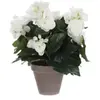 Mica Decorations Begonia blanc artificiel ø25 x h.30 cm en pot Stan gris ø11,5 cm