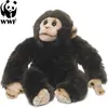 WWF peluche peluche chimpanzé 23 cm brun foncé