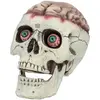Boland 73213 - Crâne avec mâchoire mobile, 18 x 13 x 15 cm, figure décorative, décoration d'Halloween, décoration de fête