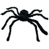 COTILLONS D'ALSACE ARAIGNEE VELUE NOIRE 70CM