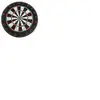 SportX Cible 45 cm Sisal