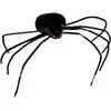 Araignée pattes fines 35cm