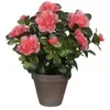 MICA DECORATIONS Azalea pêche artificiel 20 x h.27 cm en pot Stan gris ø11,5 cm