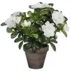 Azalée Artificielle Blanche En Gris Tiesto Ø11,5cmx27xø20cm