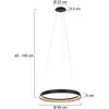 Suspension Ringlux - noir - métal - 60 cm - dirigé - 3692ZW - Noir - Steinhauer