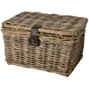 Fastrider Panier Sera Rattan Lid 26l