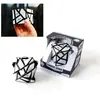 Riviera Games Casse-tête Ghost Cube RecentToys