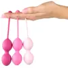 FeelzToys Kit d'Entrainement Muscles Pelviens FemmeFit Advanced