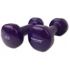 Tunturi haltères en vinyle 1.0kg, violet, paire