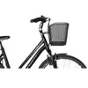 FastRider Panier à vélo Betuwe 15 litres noir