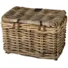 Fastrider Panier Sera Rattan Lid 17l