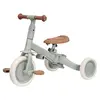 Little Dutch Tricycle 4 en 1 Pure Sage