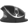 Souris Verticale Filaire Oyster Mouse - Bakkerelkhuizen