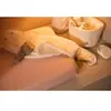 jollein Housse pour matelas à langer jersey Twinkling Wild Rose 50x70 cm