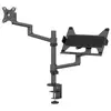 Neomounts DS20-425BL2 support de bureau pour écran plat et ordinateur portable