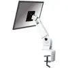 NewStar Support de Bureau pivotant à 2 pivots pour écran Plat/Moniteur de 10" à 30" Gris