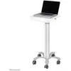NewStar Chariot pour ordinateur portable médical blanc Taille d'écran ...