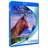 Dinosaure (2000) (Disney) / Dinosaur (Blu Ray)