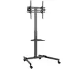 Showgear Flat Screen Trolley 7 - 32" to 55" Support TV à roulettes inc...
