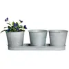 ESSCHERT DESIGN Fallen Fruits OZ22 Vieux Zinc 3 Pots sur Plateau Gris