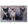 Esschert Design - Tapis Chats 76 x 46 cm : le Choix Idéal
