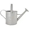 Esschert's Garden - Arrosoir en zinc patiné Hove 3.5 litres