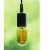 Bailey | LED Ampoule de tube | E27  | 4W Dimmable