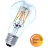 Bailey | LED Ampoule | E27  | 6W Dimmable