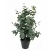 Plante artificielle Present Time Eucalyptus Leaf TU