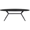 WOOOD Table à manger ovale en MDF noir 6 personnes, 220x100 cm