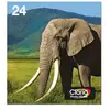 Epson Ink Cartouche D´encre T2428 Claria 24 6 Couleurs