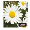 Multipack 4-colours 18XL EasyMail Multipack 4-colours 18XL EasyMail