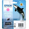 Cartouche d'encre originale epson c13t76064n10 magenta magenta clair C13T76064N10