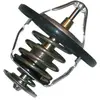 Thermostat d'eau TH-5509 Kavo parts TH5509