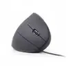 Gembird MUS-ERGO-01 souris Bureau Droitier USB Type-A Optique 3200 DPI
