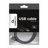 Gembird Câble Rallonge à USB CCP-USB2-AMAF-6n (1,8 m) Noir