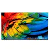 TV intelligente Philips 65HFL6214U/12 4K Ultra HD 65"