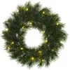 Black Box Edelman Couronne de sapin Glendon 20 LED blanc chaud 45cm vert intérieur