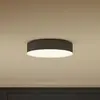 Philips Hue White Ambiance Plafonnier Enrave Small noir