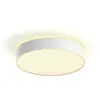 Philips Hue White Ambiance Plafonnier Enrave Medium Blanc