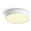 Philips Hue White Ambiance Pafonnier Enrave Small Blanc