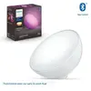 PHILIPS Hue Go Lampe de table sans fil, LED, avec RVBB, 8718696173992,