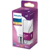 Philips ampoule LED Standard E27 60W Blanc très froid, Dépolie, verre