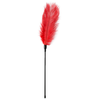 EasyToys Fouet à plumes rouge