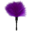 EasyToys Petit plumeau - Violet